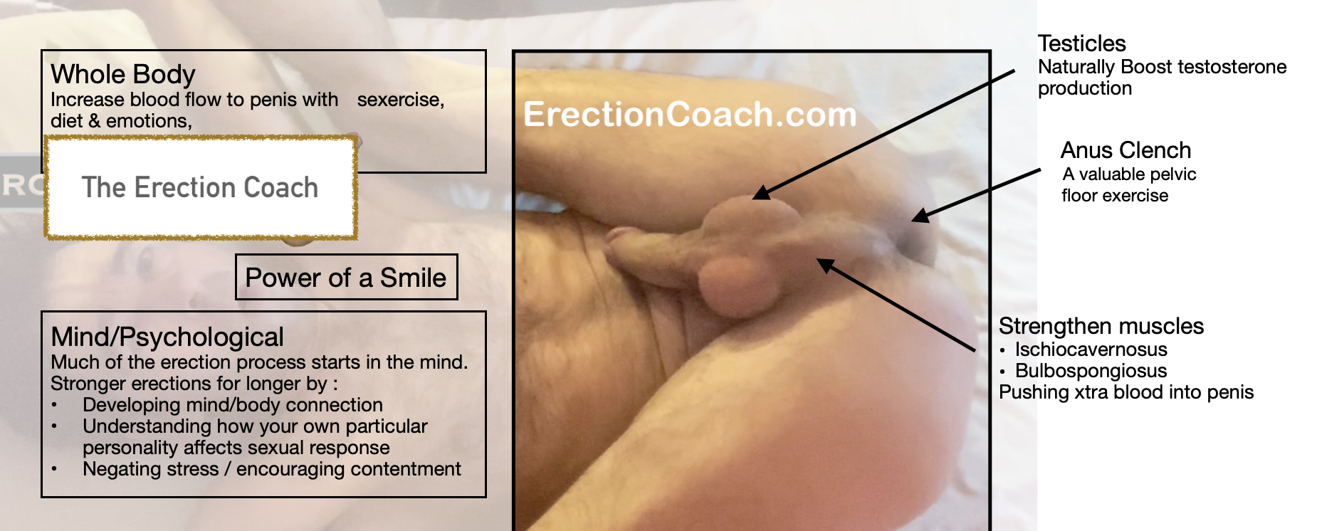 erection coach naked laying on back with legs over his head to show male pelvic floor muscles